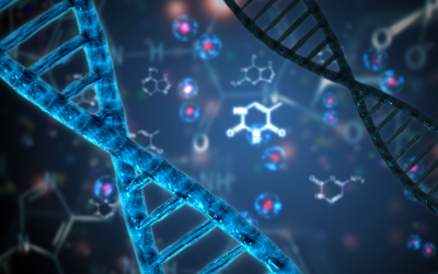 Zdjęcie Kwasy Nukleinowe